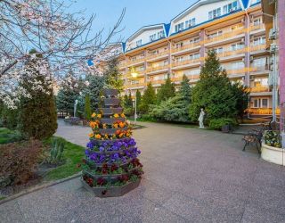 *Санаторий "Надежда" Анапа